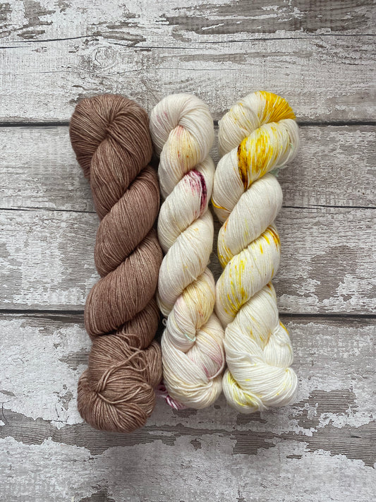 3 Skein Colour Pop Kit Sock - Prairie Winds