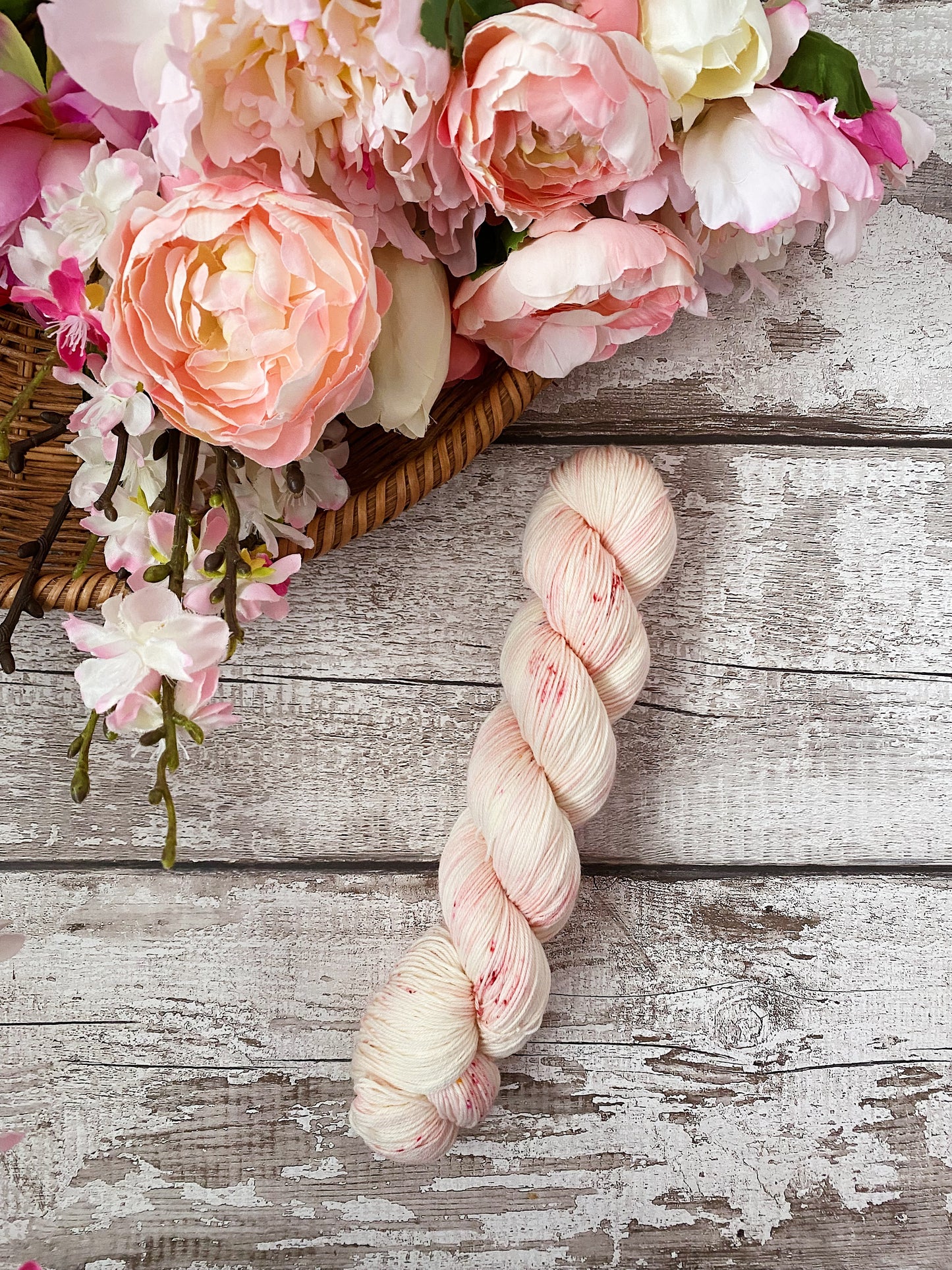 Hand Dyed Yarn | 4ply Merino Nylon | Vichy
